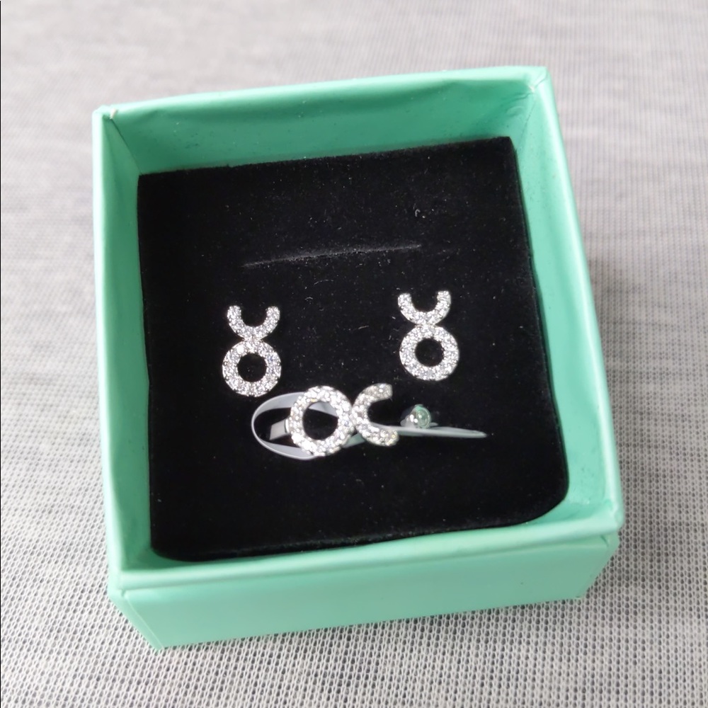 2x👯‍♀️Host Pick⚡️Silver Taurus Symbol Earring & Ring Set